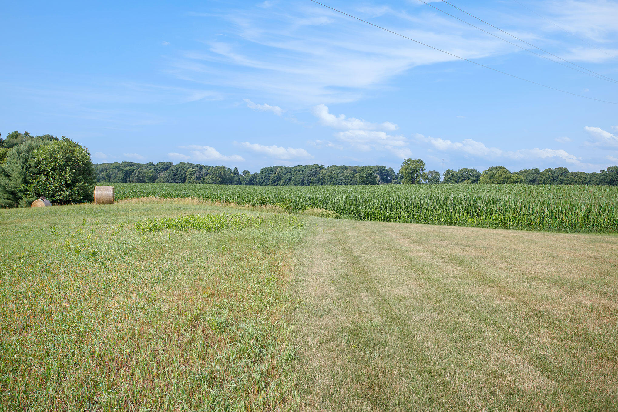 Charleston Twp, Michigan 49053, United States, ,Land,Active,82746