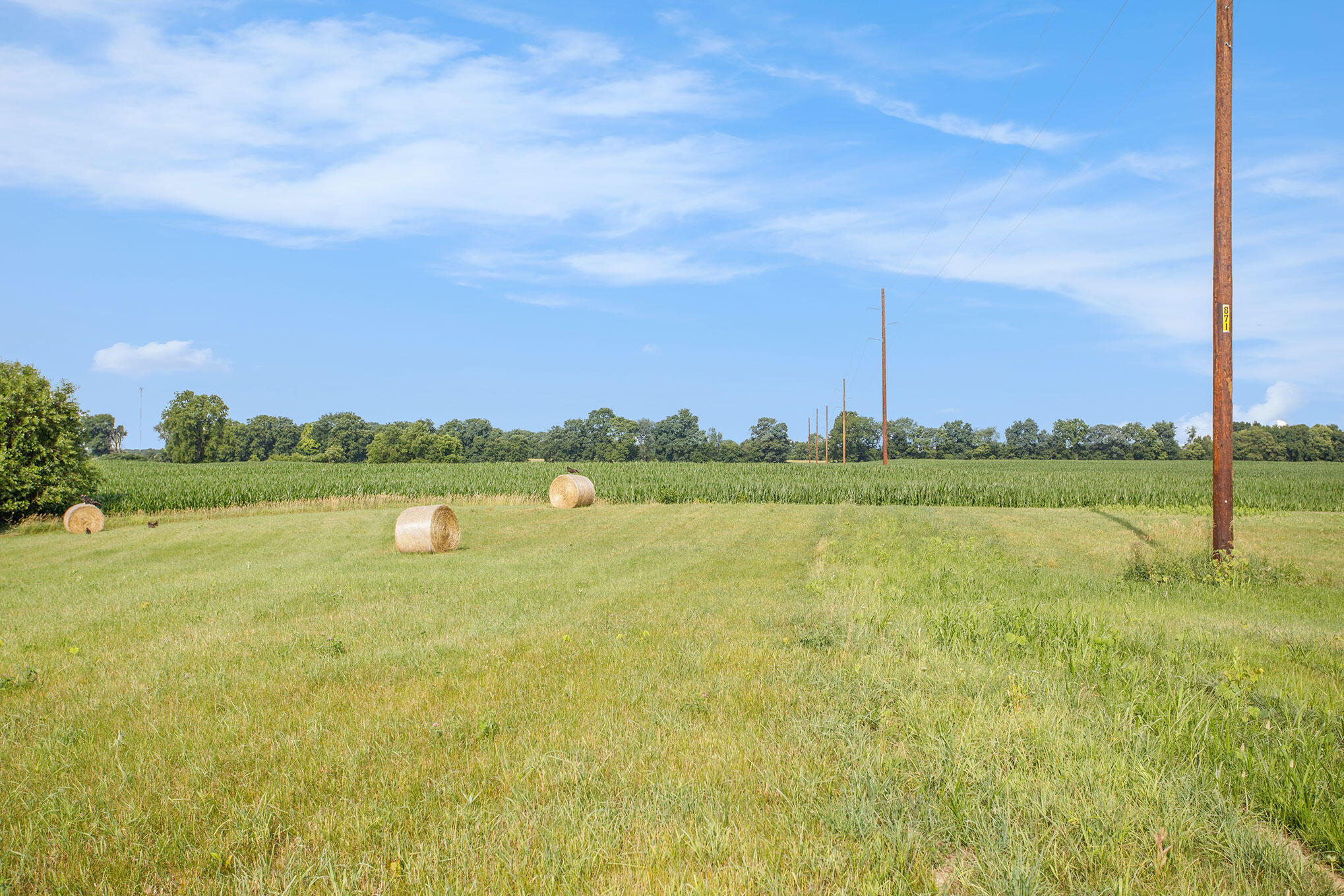 Charleston Twp, Michigan 49053, United States, ,Land,Active,82746