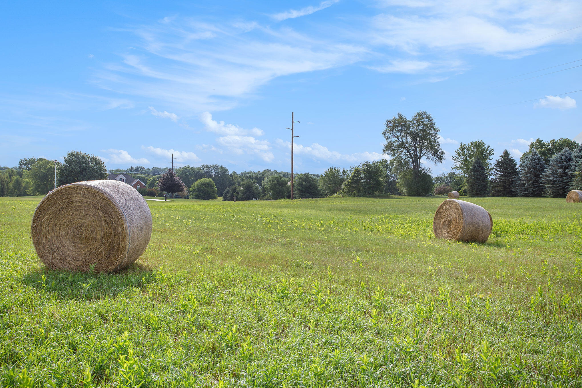 Charleston Twp, Michigan 49053, United States, ,Land,Active,82746