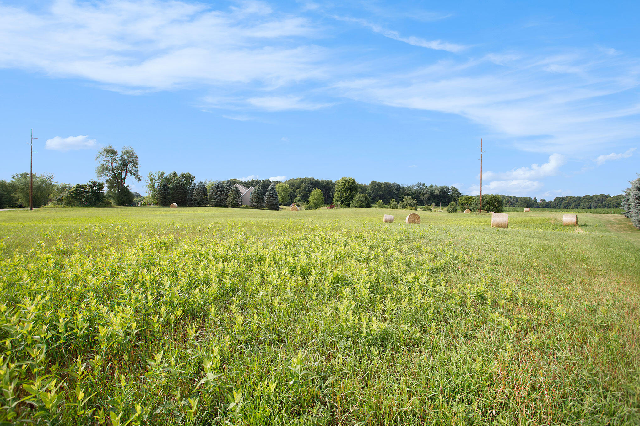 Charleston Twp, Michigan 49053, United States, ,Land,Active,82746