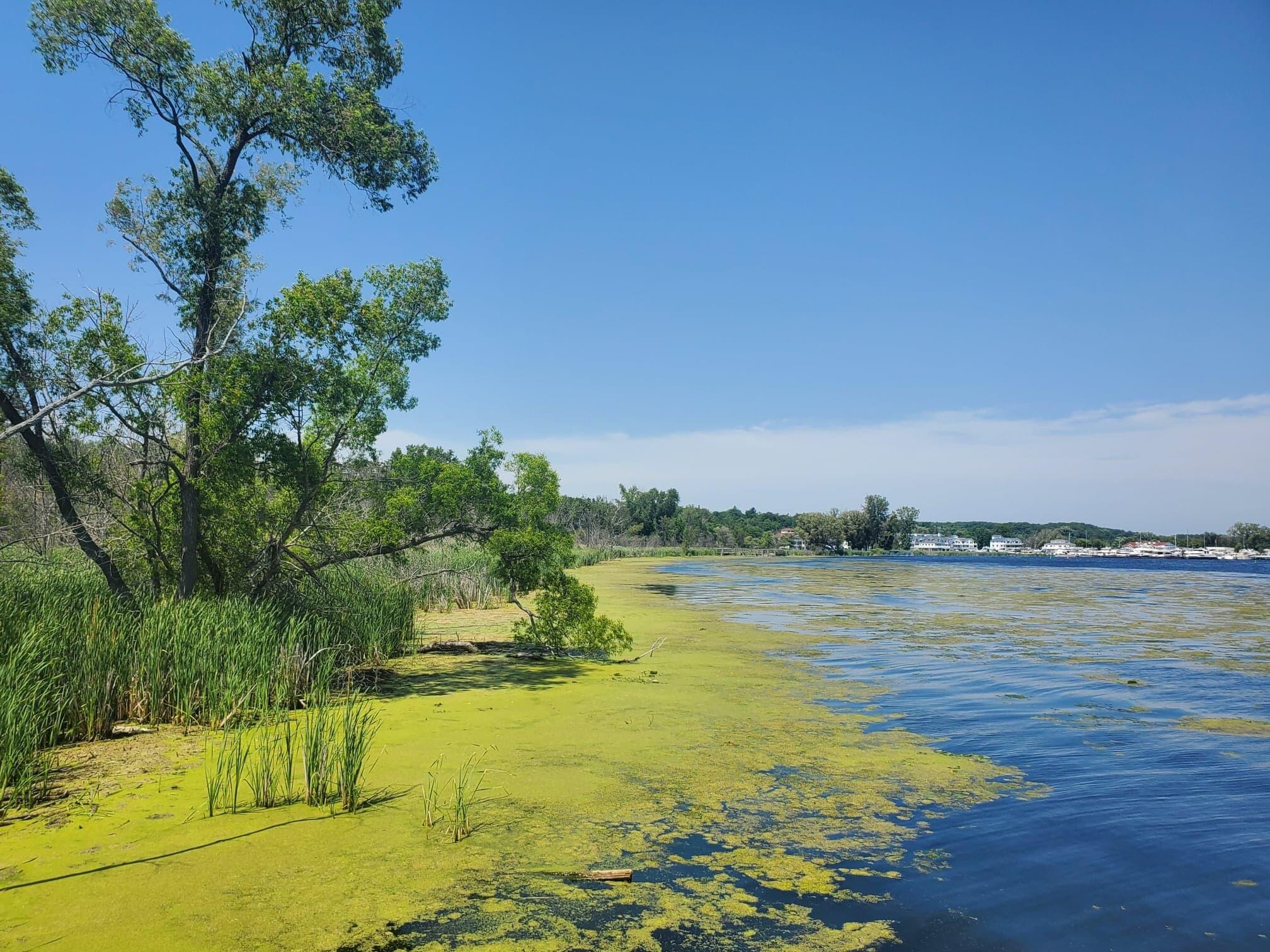 Lot 3 Old Channel Trail