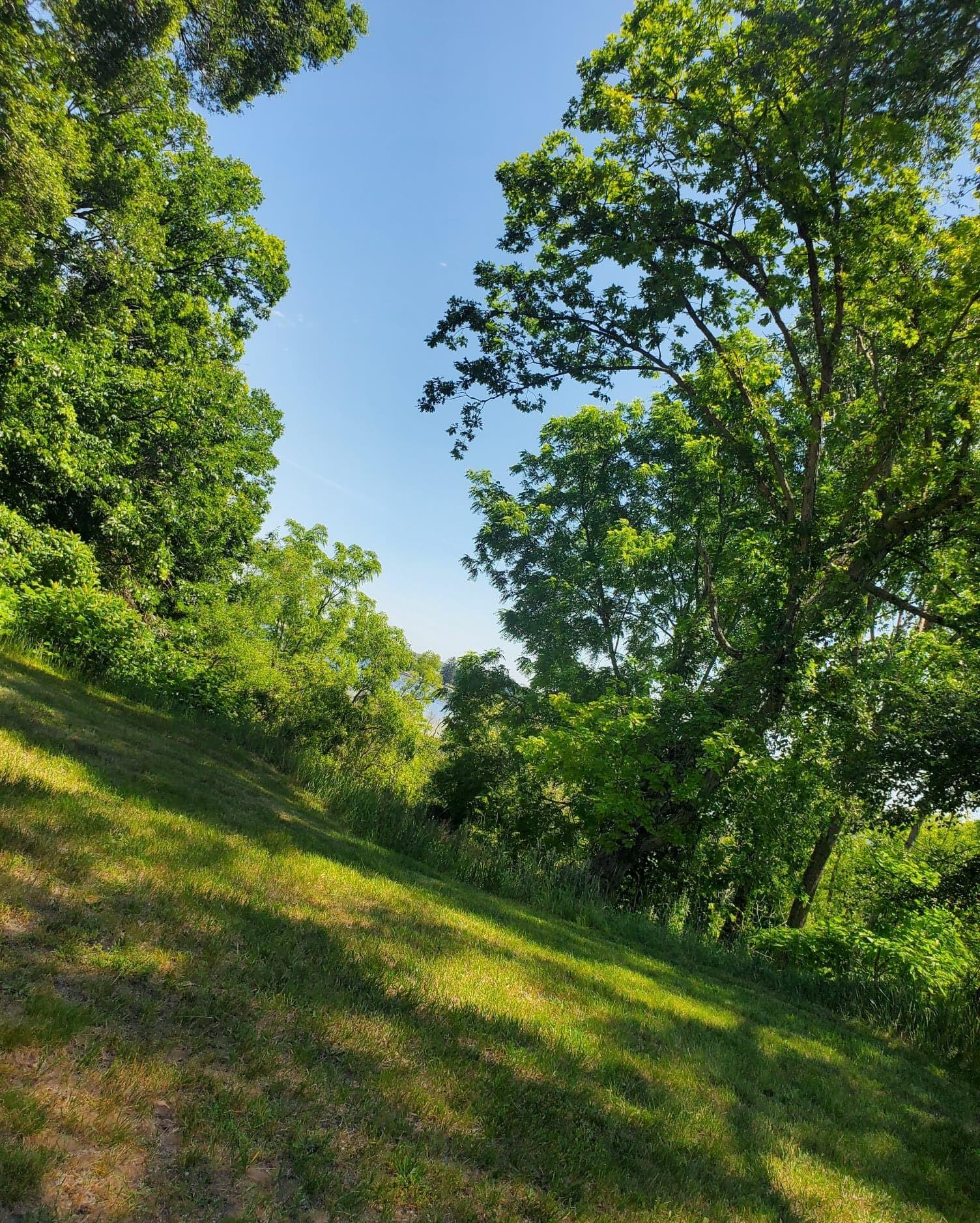Lot 3 Old Channel Trail