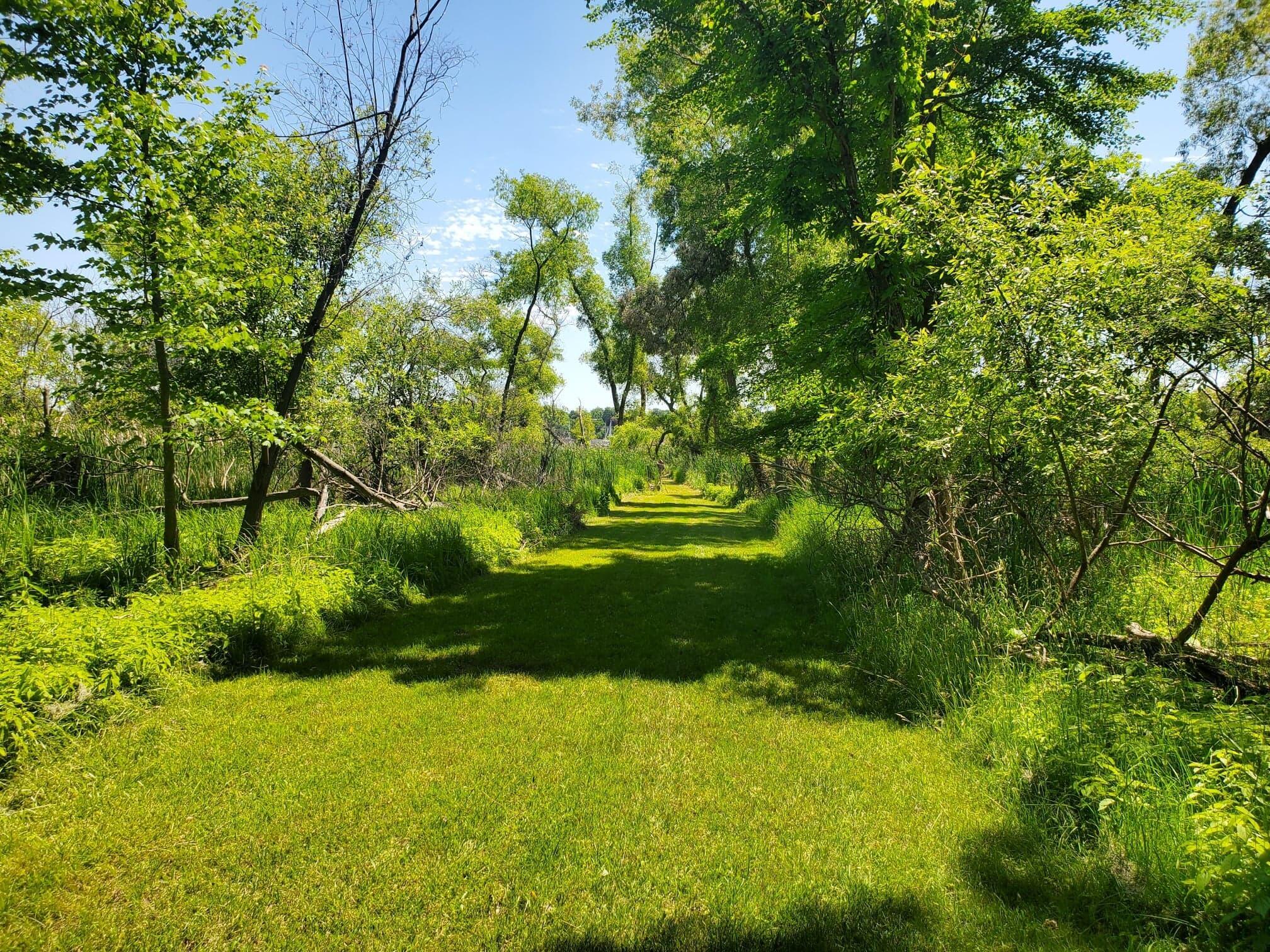 Lot 3 Old Channel Trail