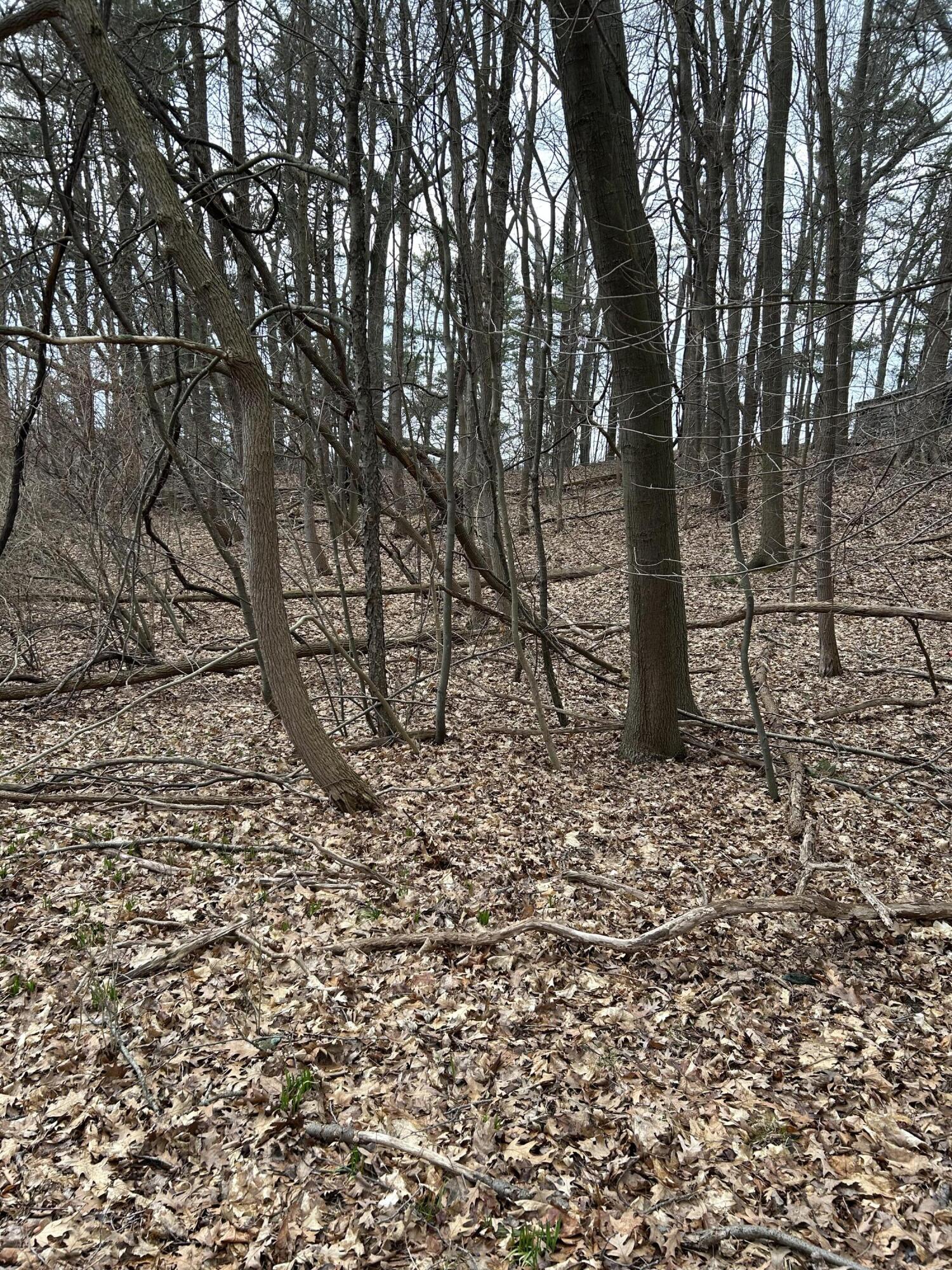 V/L Smugglers Pass Lot 15