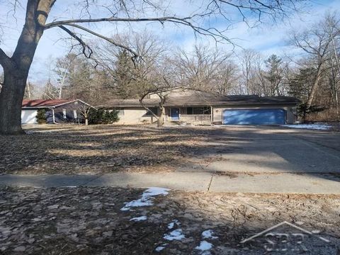 3861 Jim Drive Bridgeport Charter Township MI 48722