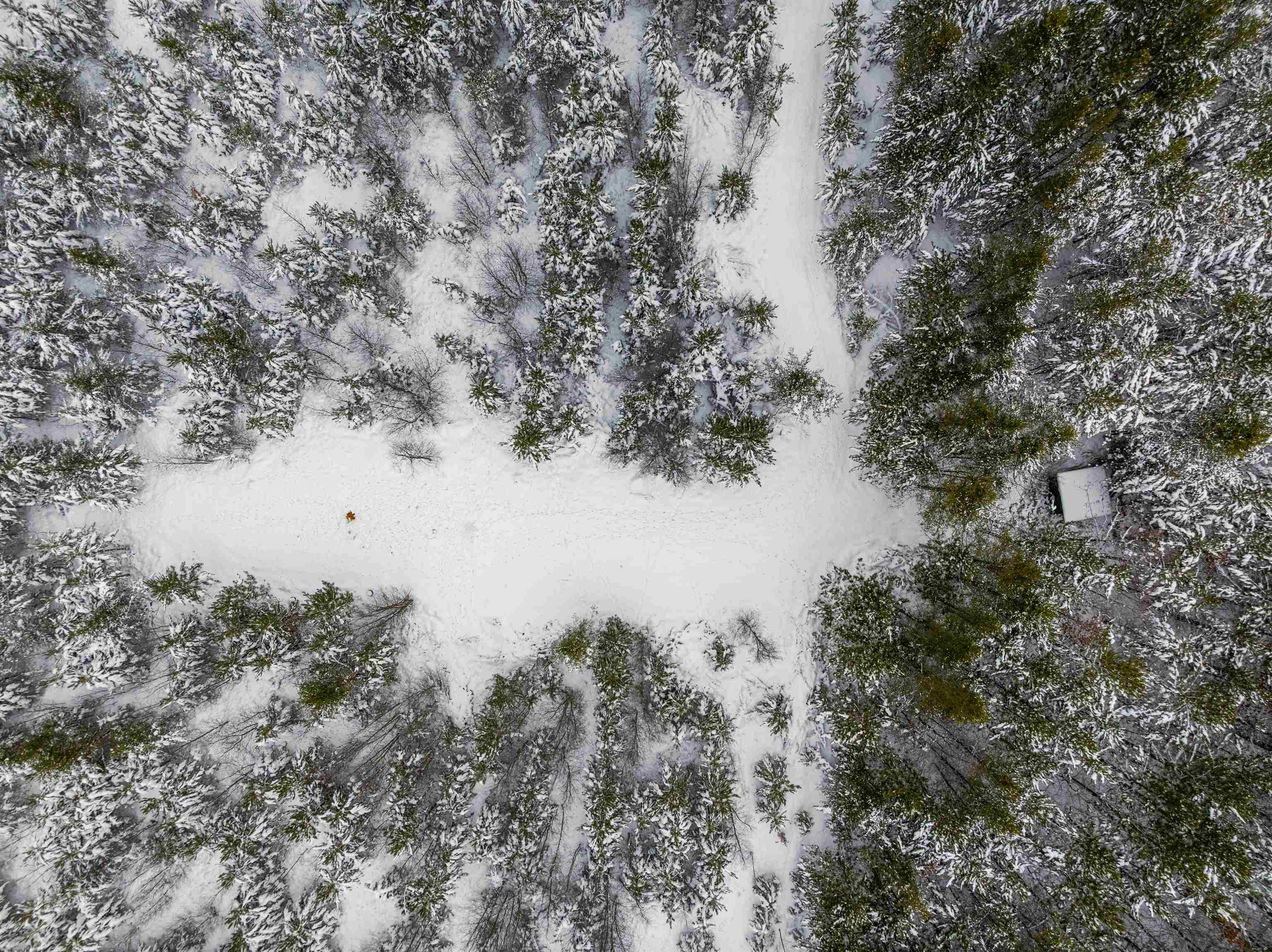 40 acres Cedar Creek Road