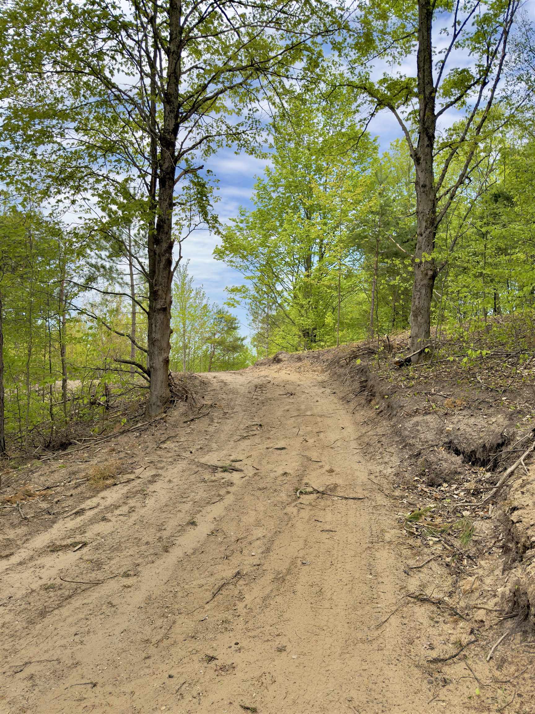 3779 Scholl Road