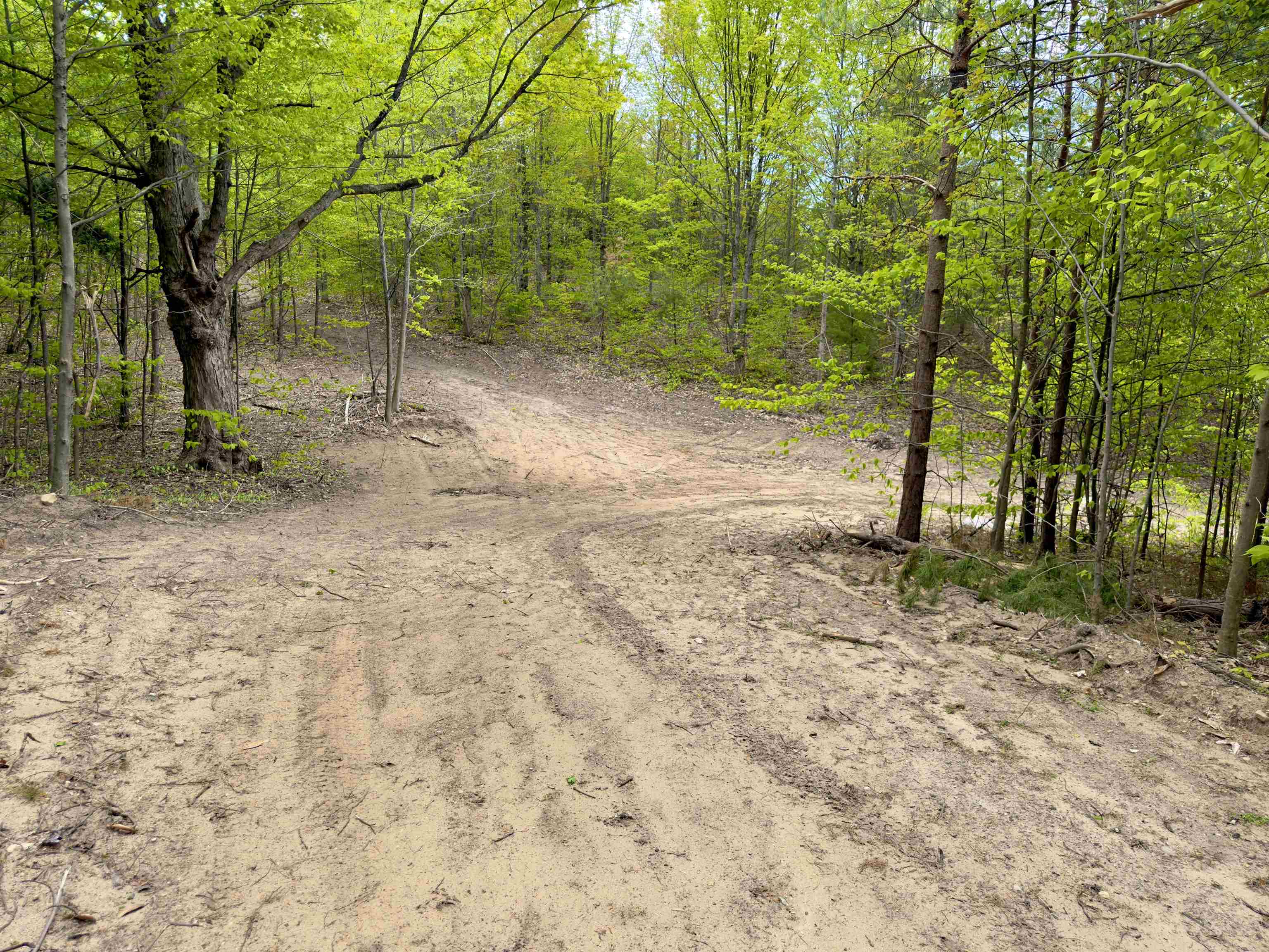 3779 Scholl Road