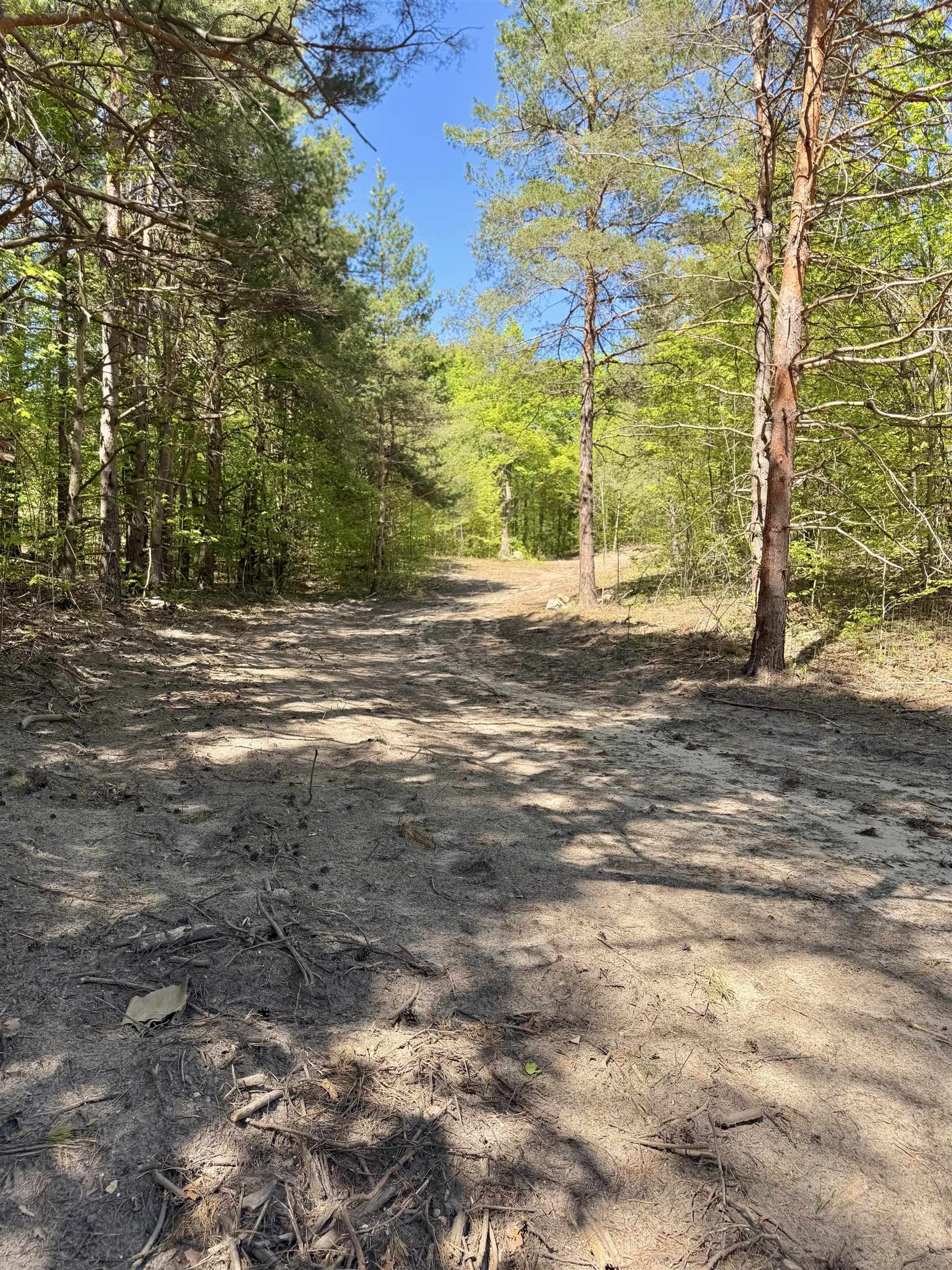 3779 Scholl Road