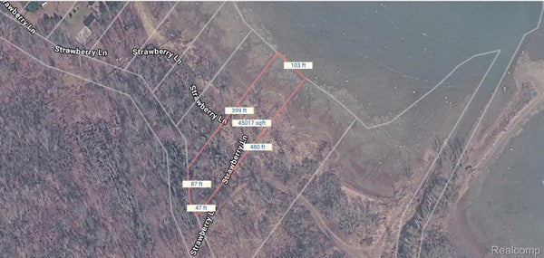 000 STRAWBERRY LANE, HARBOR BEACH, MI 48441 - Image 81ee39b8090ae28fa6e918eeee38f467/3194108165