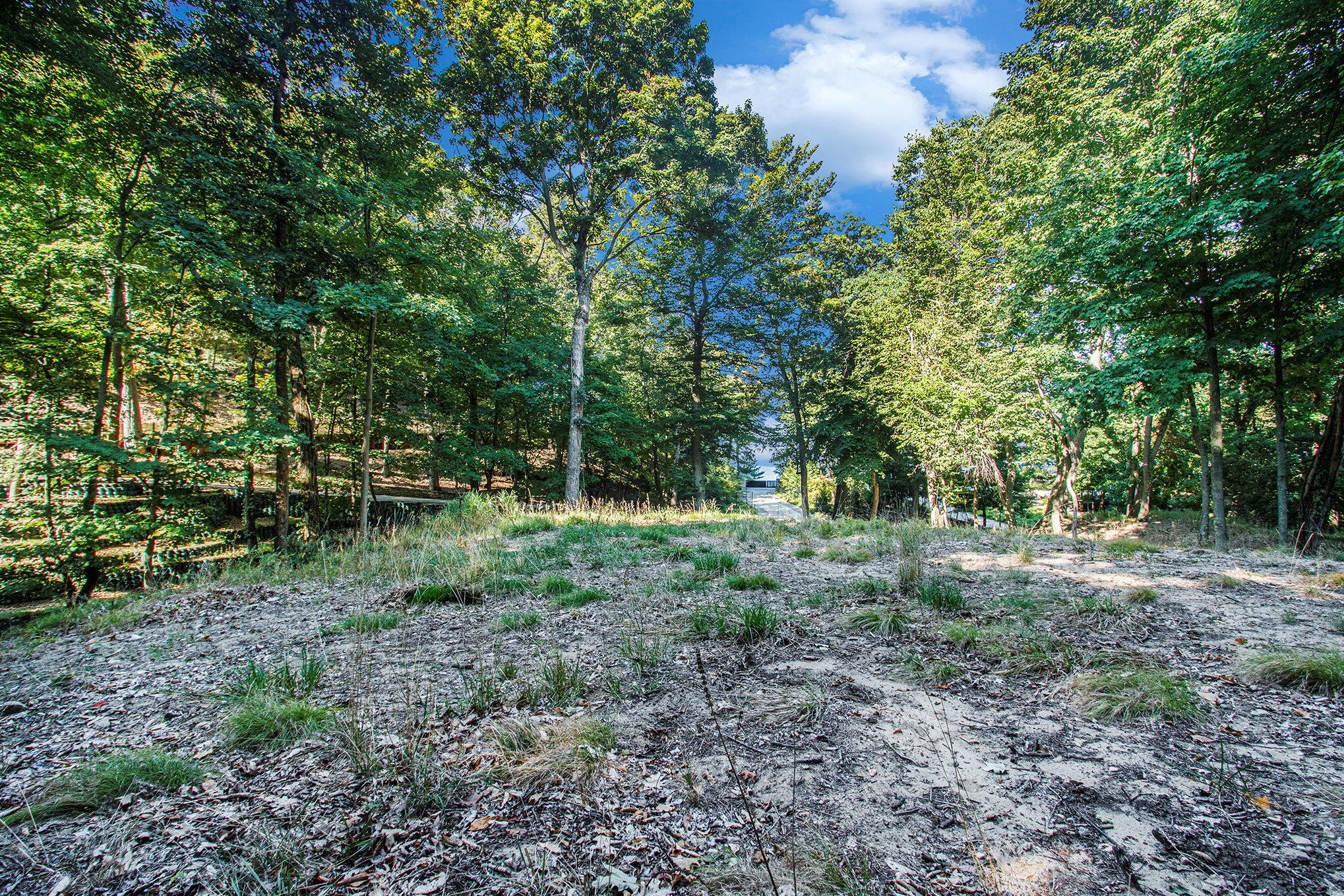 345 Dunegrass Ridge Drive