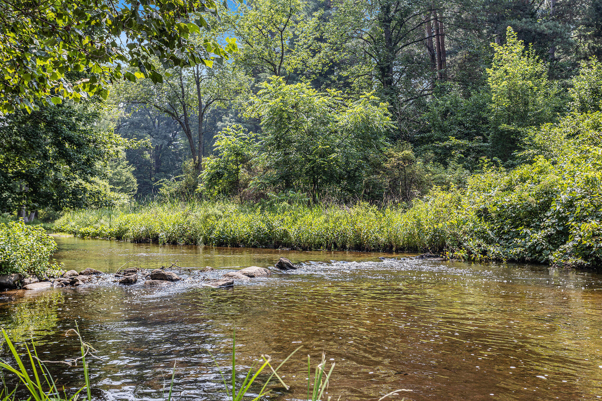 Bedford Charter Township, Michigan 49017, United States, 2 Bedrooms Bedrooms, ,1 BathroomBathrooms,Residential,Pending,187122
