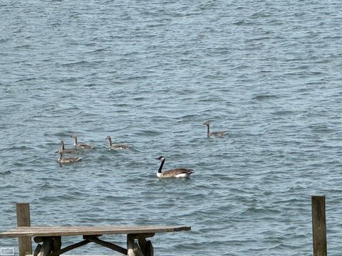 Tiny photo for 7591 Dyke Road, Ira Township, MI 48023 (MLS # 58050201465)