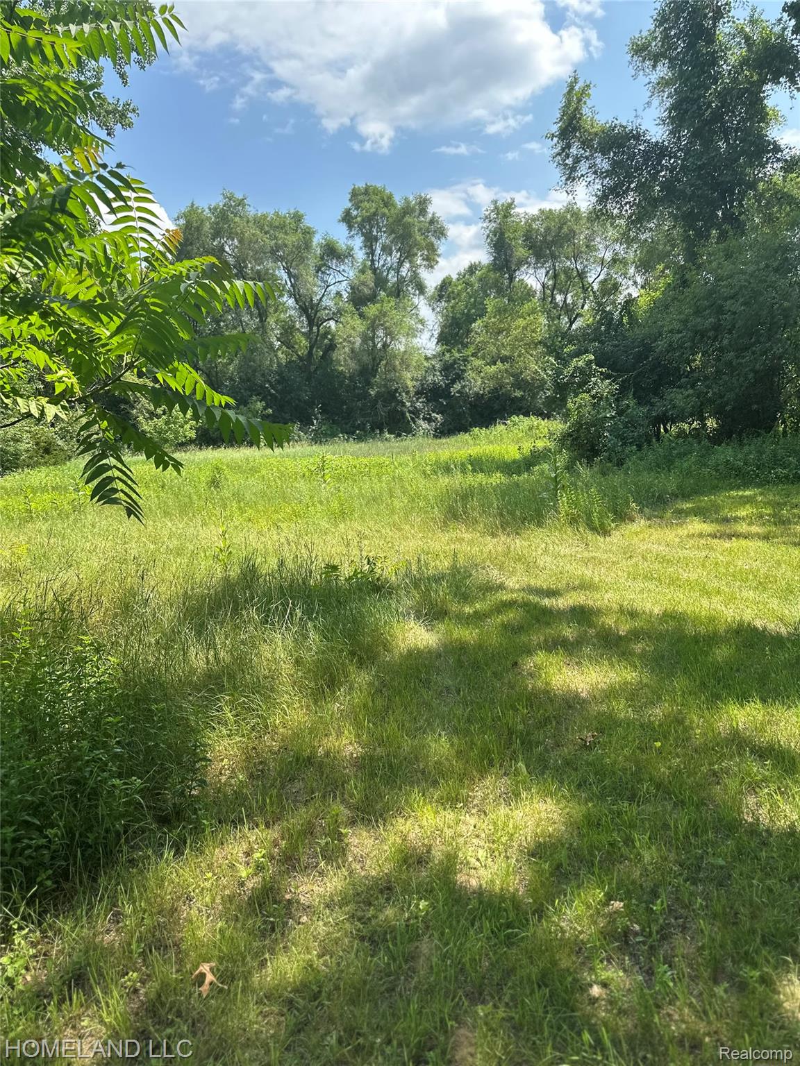 9945 Cedar Island Road