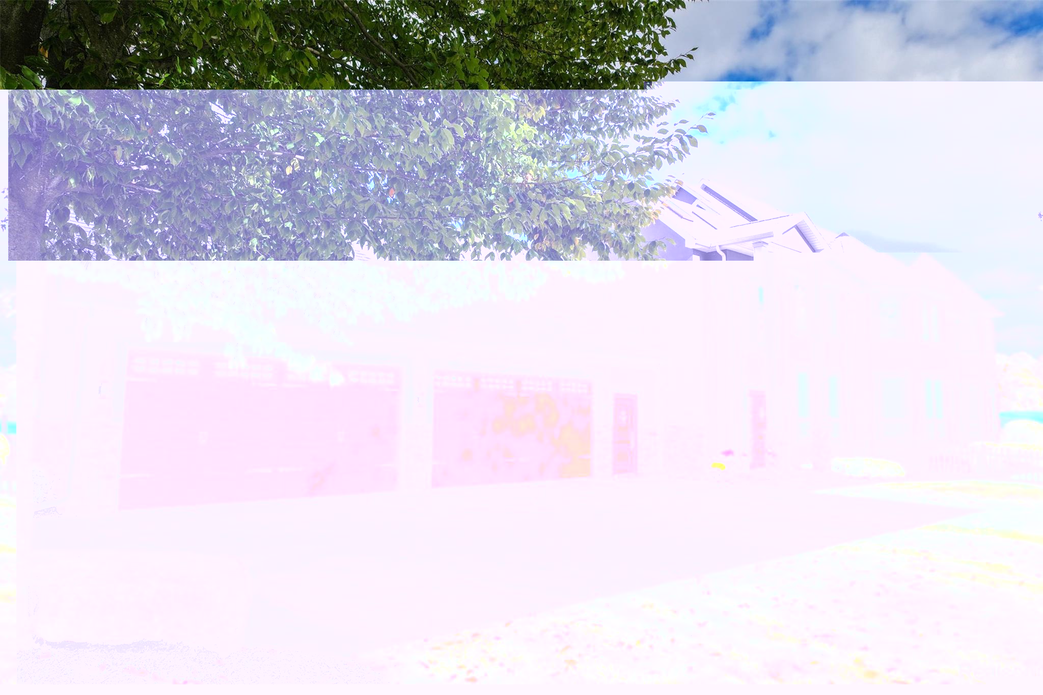 16083 Whitehead Drive