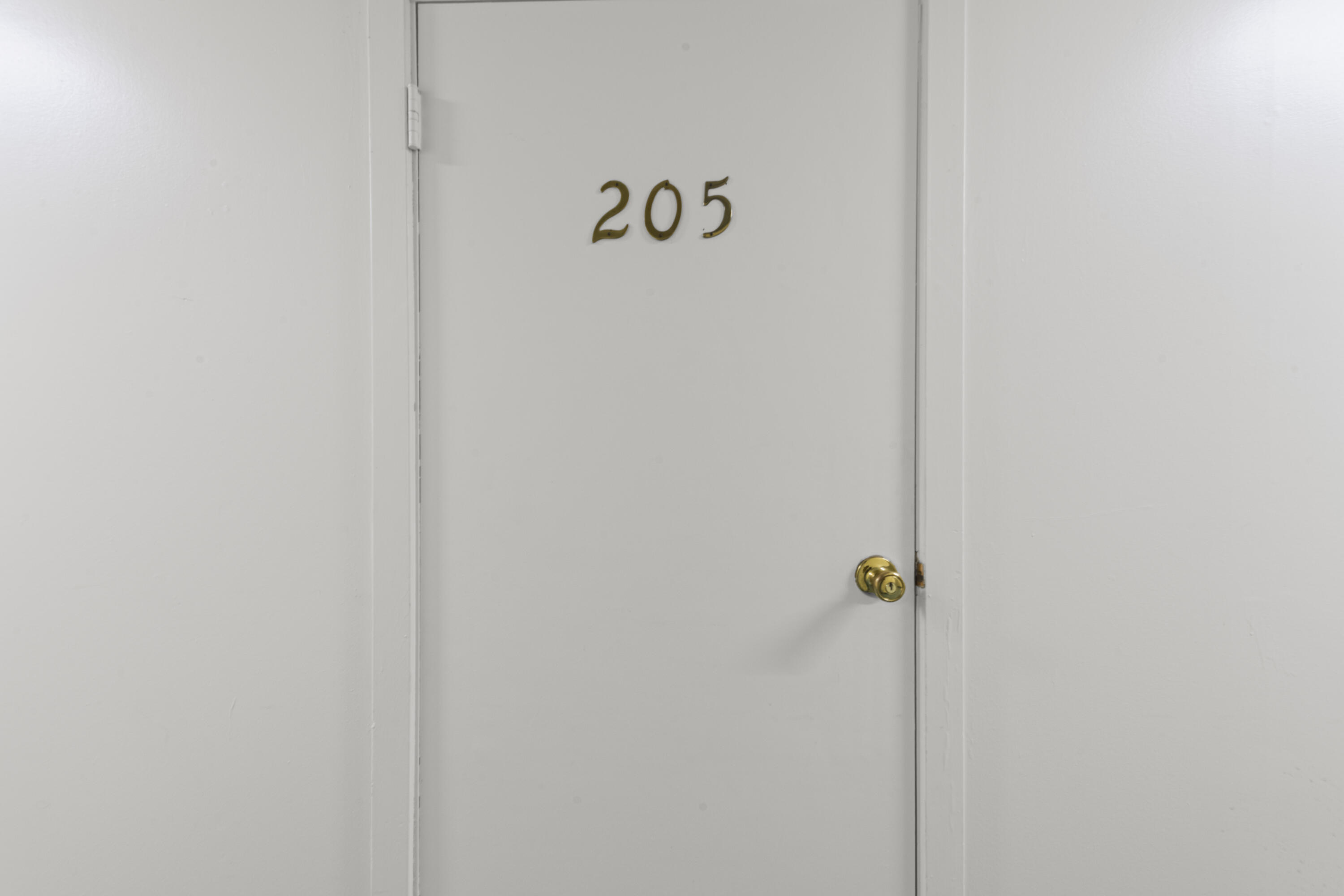 806 W Michigan Avenue 205E