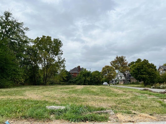 2018 MCGRAW ST, DETROIT, MI 48208 - Image 82f6c2c8d20c02baec8e1991396fb810/2461487727