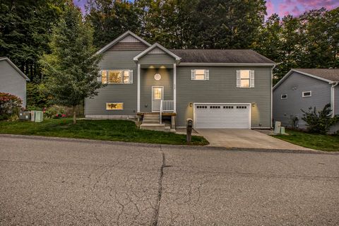 220 Parkview Drive Paradise Township MI 49649