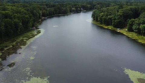 8653 Lakeside Trail Frost Township MI 48625