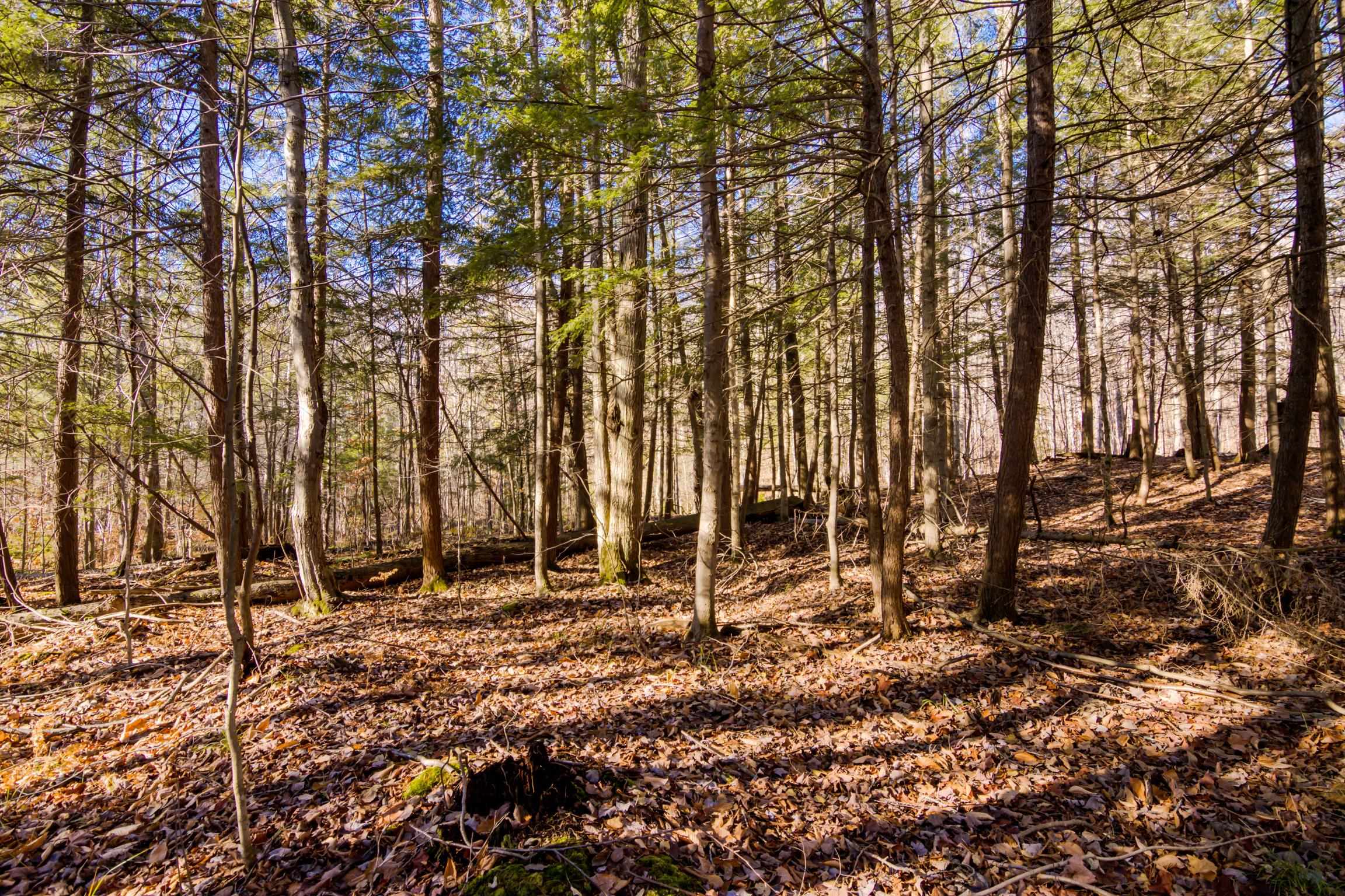 5877 E Lake Five Lane