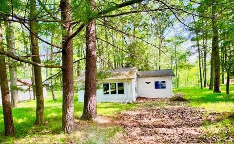 751 Bungo Lake Road Lincoln Township MI 48625