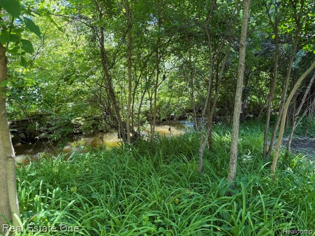 5135 Iron Gate Road
