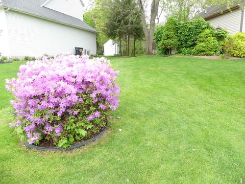 listing image 55
