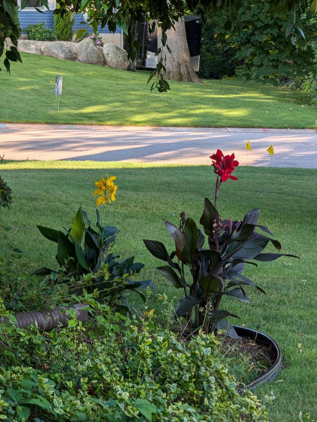 listing image 71