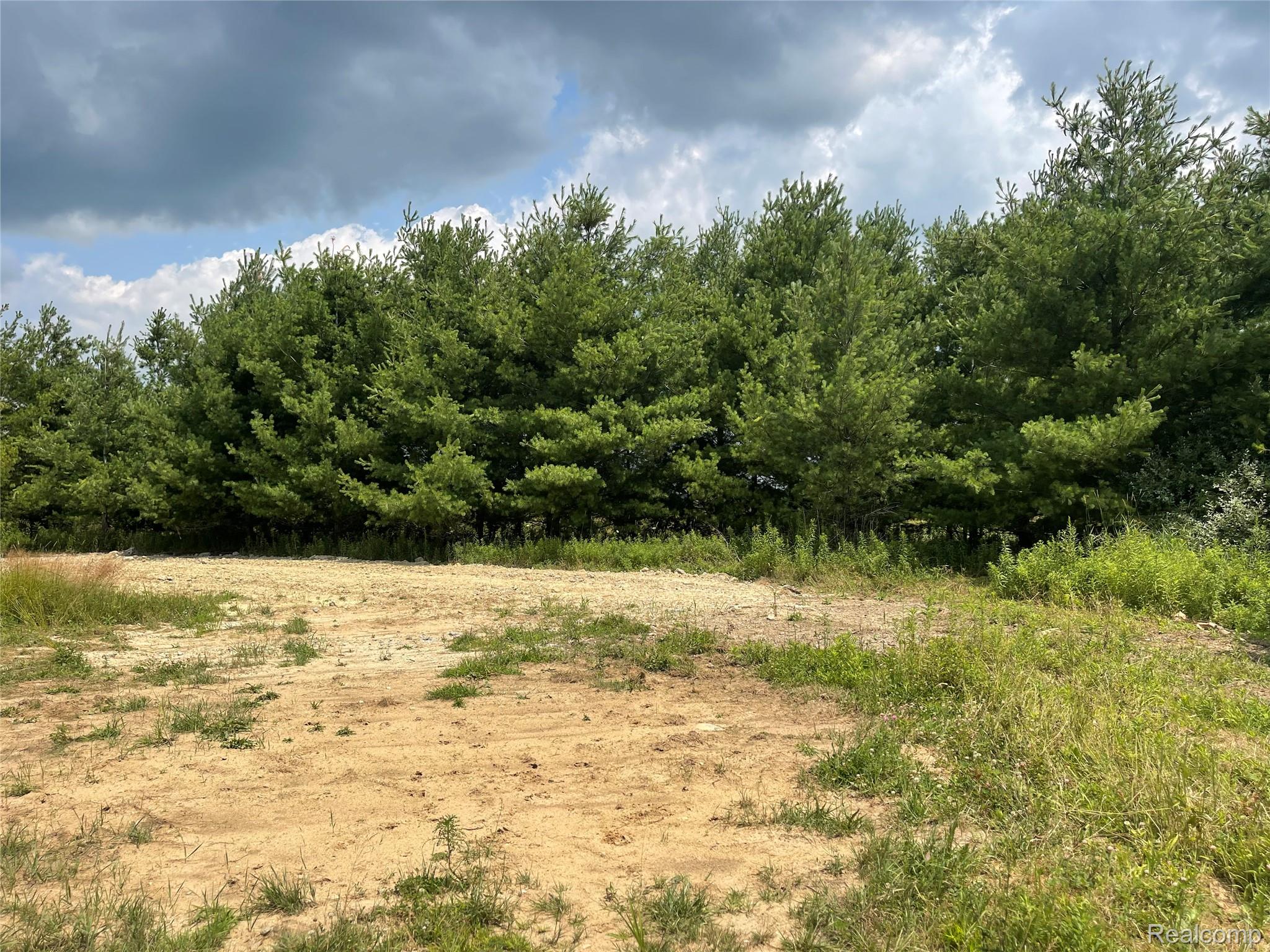 Vacant Land Wellman Line