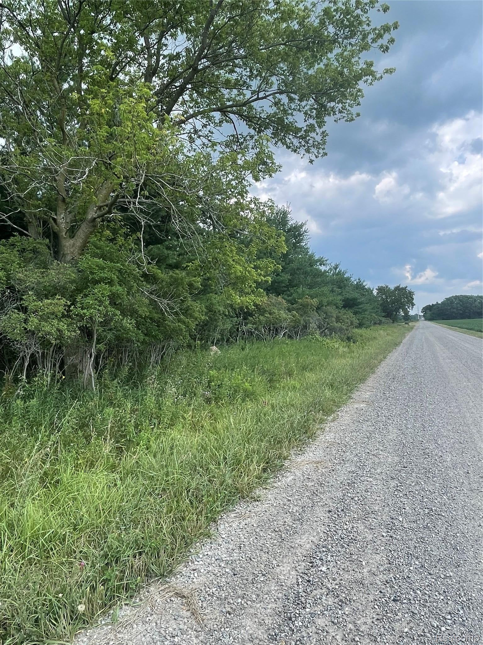 Vacant Land Wellman Line