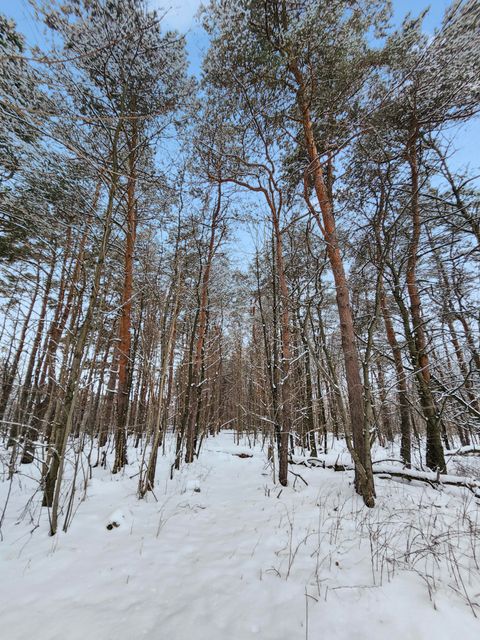 A home in MapleGroveTownship_Manistee