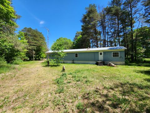 A home in MapleGroveTownship_Manistee