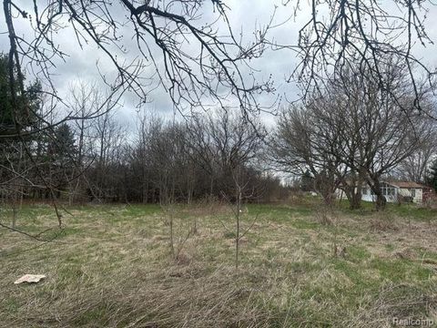 0 E Frances Road Thetford Township MI 48420