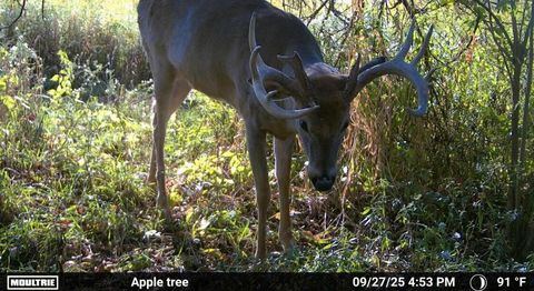 Tiny photo for 8885 Burmeister Road, Bridgewater Township, MI 48176 (MLS # 81025062407)