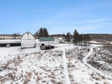 Tiny photo for 8885 Burmeister Road, Bridgewater Township, MI 48176 (MLS # 81025062407)