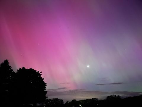 Tiny photo for 8885 Burmeister Road, Bridgewater Township, MI 48176 (MLS # 81025062407)