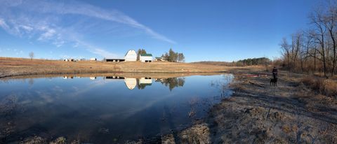 Tiny photo for 8885 Burmeister Road, Bridgewater Township, MI 48176 (MLS # 81025062407)