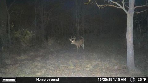 Tiny photo for 8885 Burmeister Road, Bridgewater Township, MI 48176 (MLS # 81025062407)