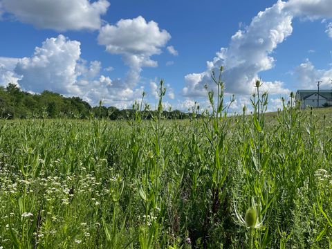 Tiny photo for 8885 Burmeister Road, Bridgewater Township, MI 48176 (MLS # 81025062407)