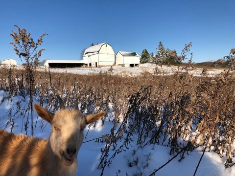 Tiny photo for 8885 Burmeister Road, Bridgewater Township, MI 48176 (MLS # 81025062407)