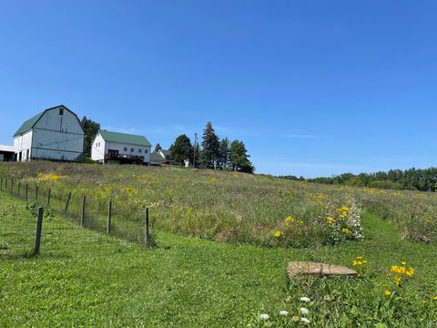 Tiny photo for 8885 Burmeister Road, Bridgewater Township, MI 48176 (MLS # 81025062407)