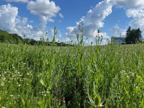 Tiny photo for 8885 Burmeister Road, Bridgewater Township, MI 48176 (MLS # 81025062407)