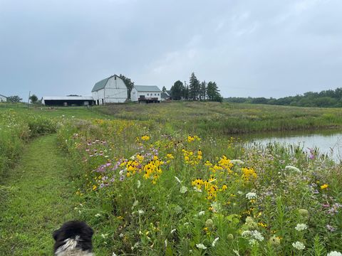 Tiny photo for 8885 Burmeister Road, Bridgewater Township, MI 48176 (MLS # 81025062407)