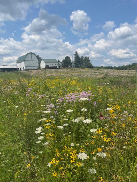 Tiny photo for 8885 Burmeister Road, Bridgewater Township, MI 48176 (MLS # 81025062407)