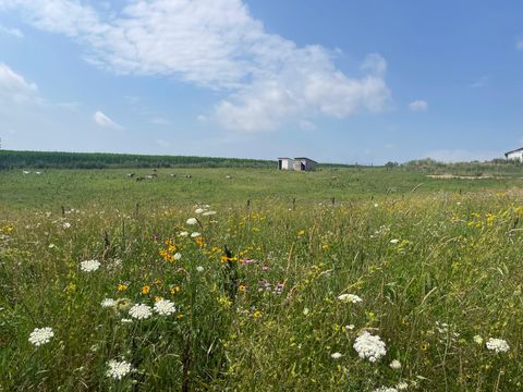 Tiny photo for 8885 Burmeister Road, Bridgewater Township, MI 48176 (MLS # 81025062407)