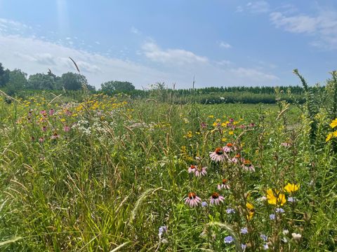 Tiny photo for 8885 Burmeister Road, Bridgewater Township, MI 48176 (MLS # 81025062407)