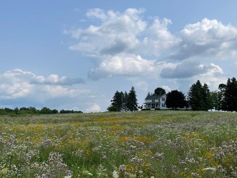 Tiny photo for 8885 Burmeister Road, Bridgewater Township, MI 48176 (MLS # 81025062407)