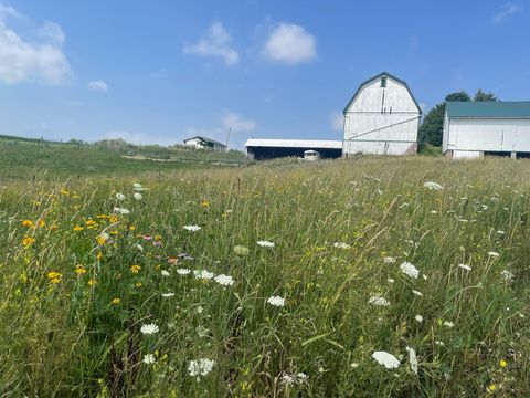 Tiny photo for 8885 Burmeister Road, Bridgewater Township, MI 48176 (MLS # 81025062407)