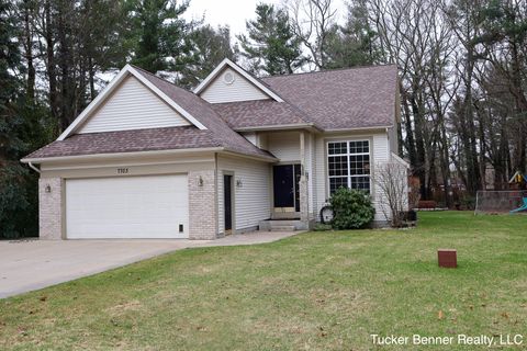 7703 Pinecone Court Whitehall Township MI 49461