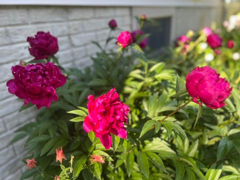 Tiny photo for 10085 Holly Lane, Morton Township, MI 49346 (MLS # 72026013592)